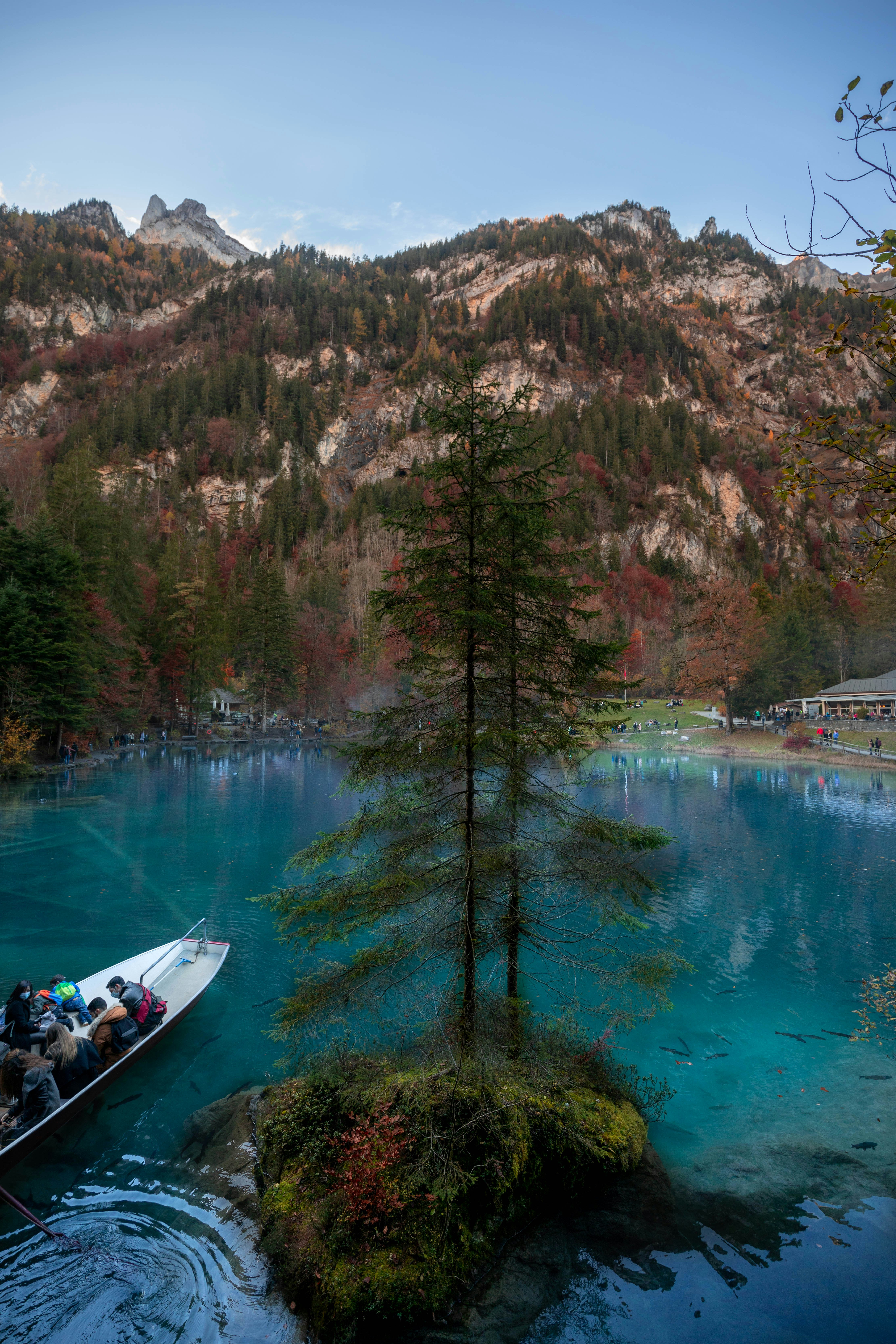 green trees near lake during daytime